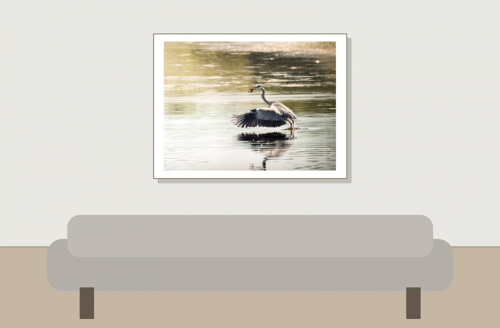 Grey Heron in Rosnay — 40 × 30 cm