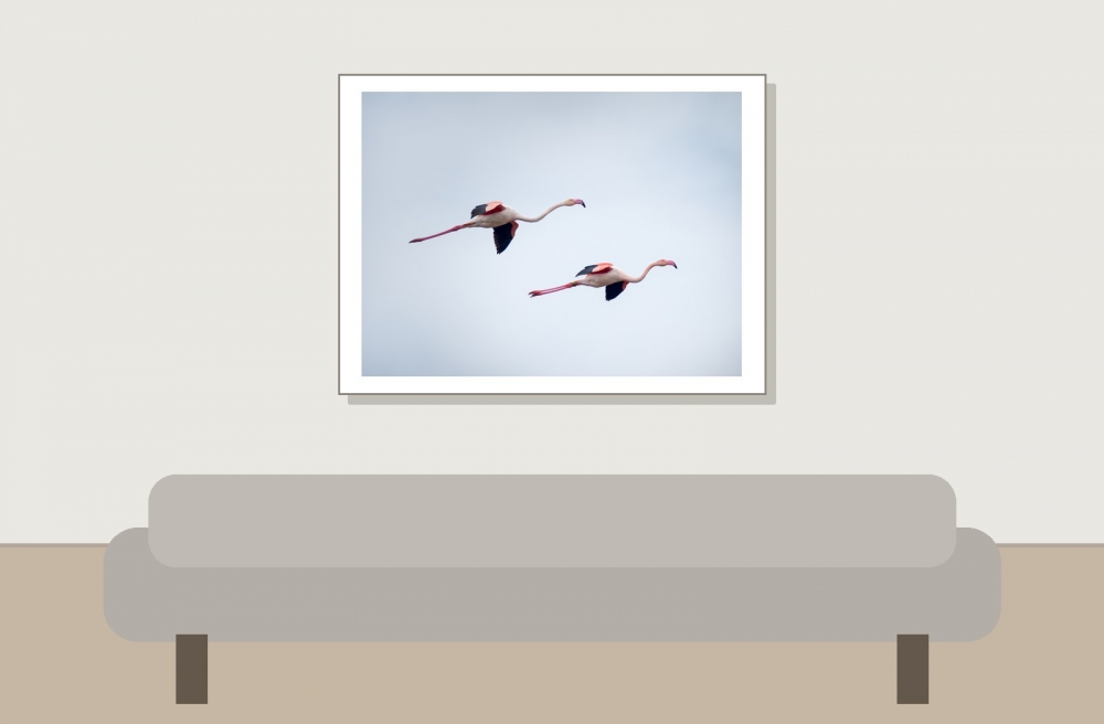 Phoenicopterus Roseus — 20251201 — 40 × 30 cm