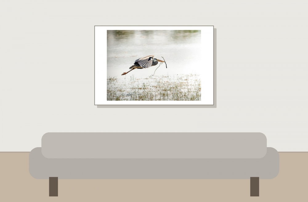 Grey Heron in Rosnay — 60 × 40 cm