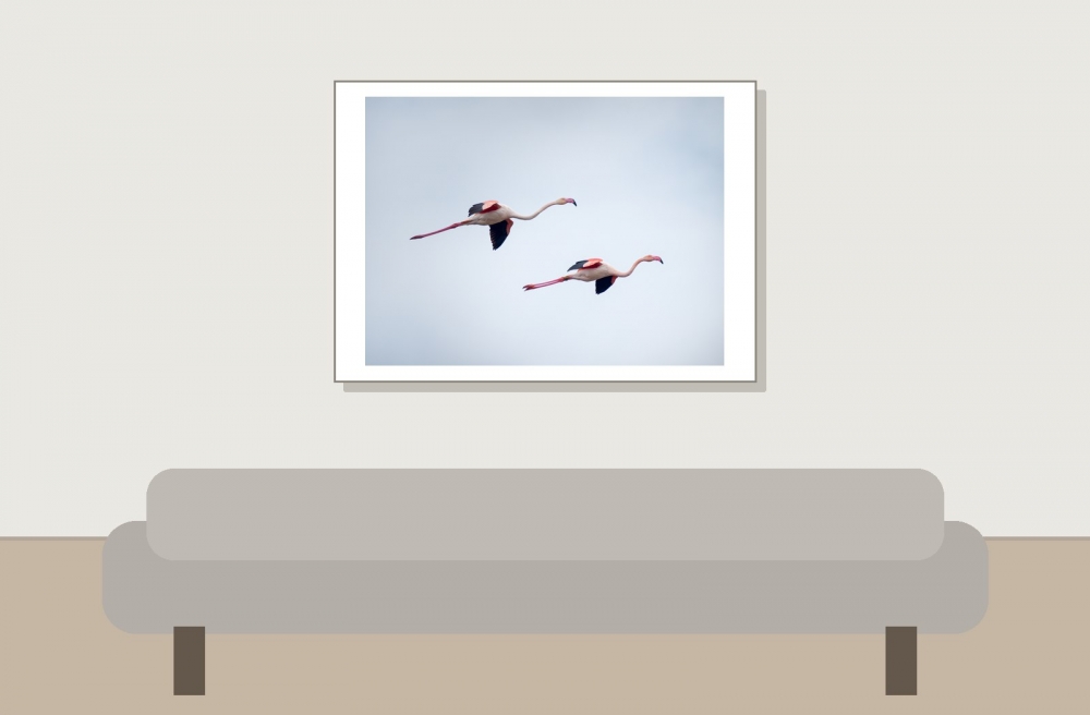 Phoenicopterus Roseus — 20251201 — 70 × 50 cm