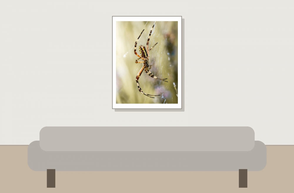 Wasp Spider in Venoy — 30 × 40 cm