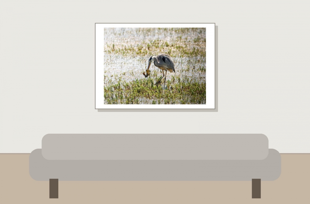 Grey Heron in Rosnay — 70 × 50 cm