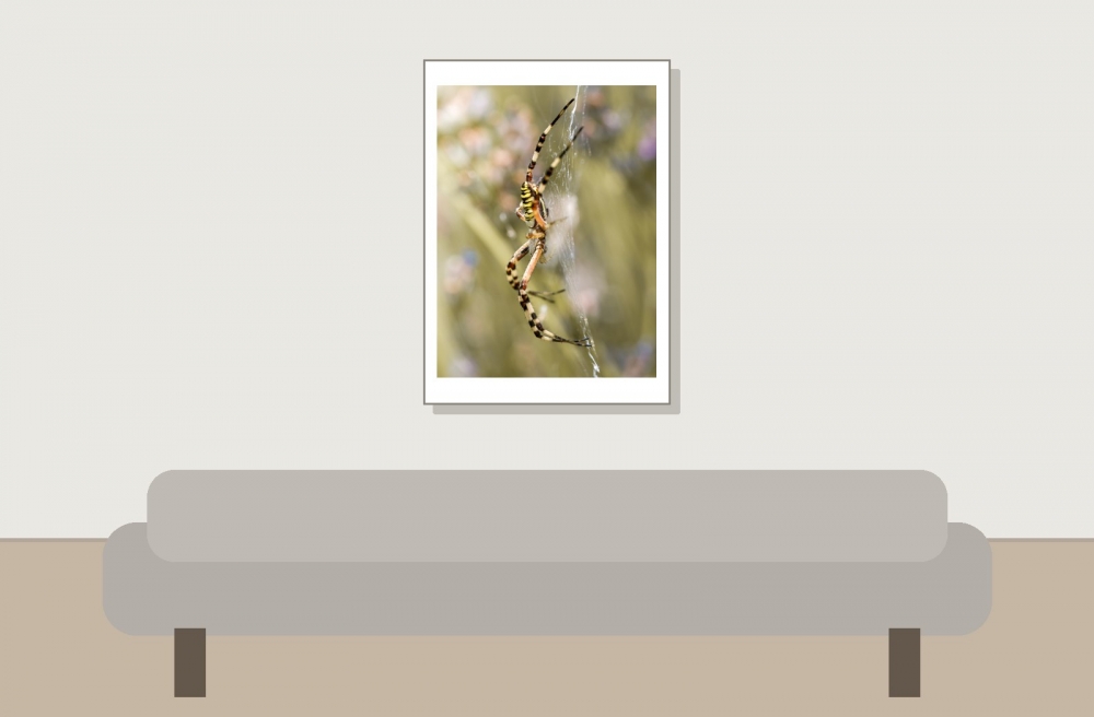 Wasp Spider in Venoy — 50 × 70 cm