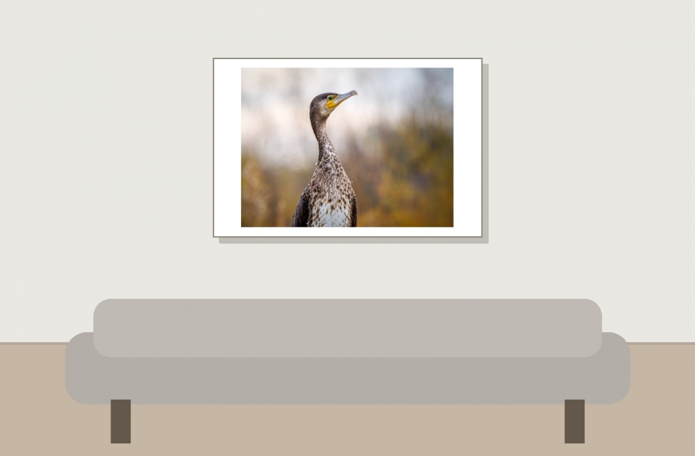 20251204 - Delons Colombe - Salin De Giraud -  (14) — 20251204 — 60 × 40 cm