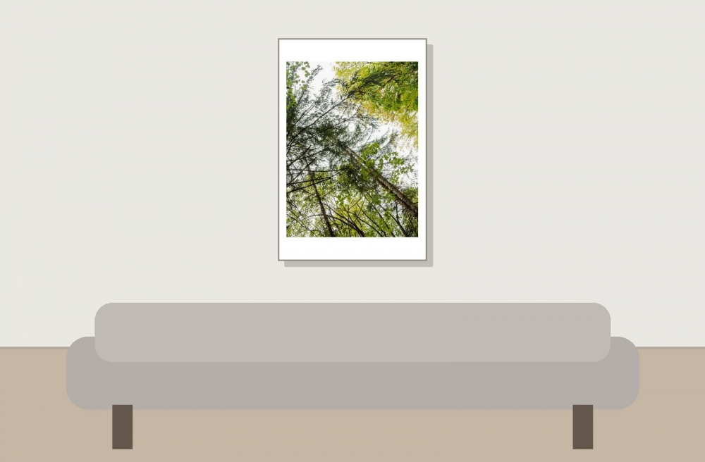 Les Planches En Montagne — 40 × 60 cm