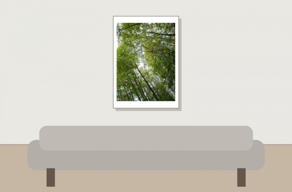 Les Planches En Montagne — 50 × 70 cm