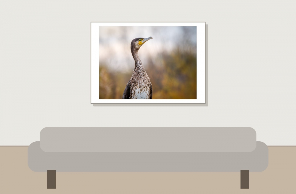 20251204 - Delons Colombe - Salin De Giraud -  (14) — 20251204 — 70 × 50 cm