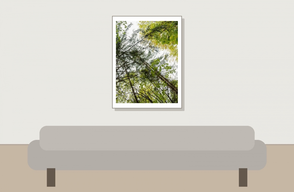 Les Planches En Montagne — 30 × 40 cm