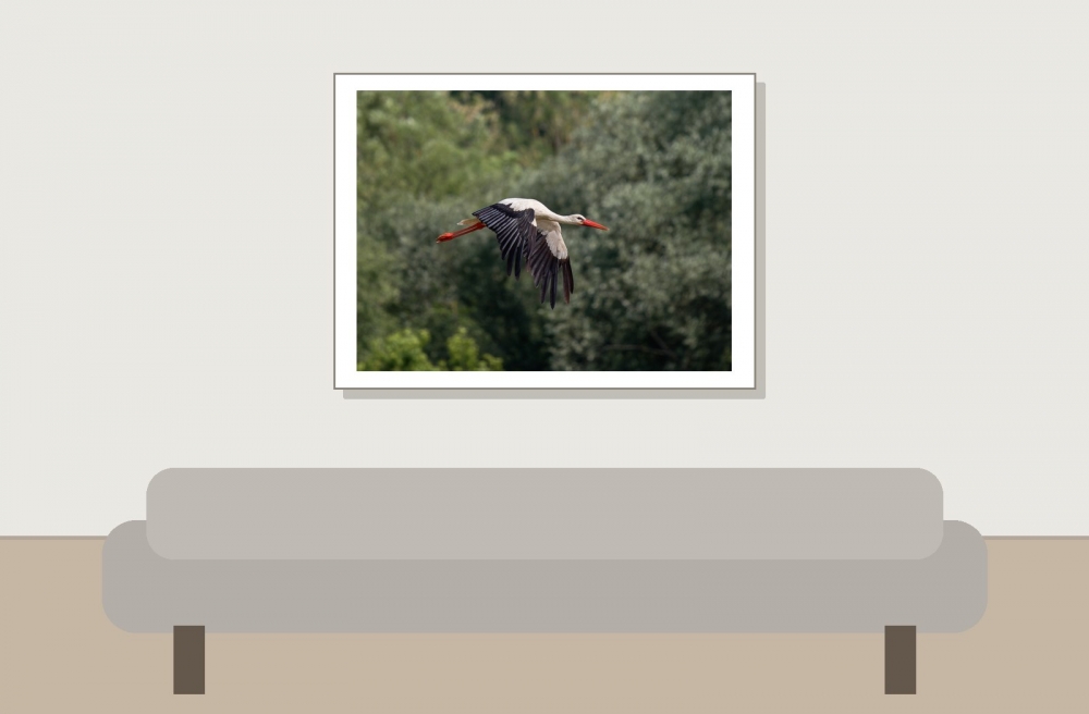 Yonne — 20250519 & 20 — 40 × 30 cm