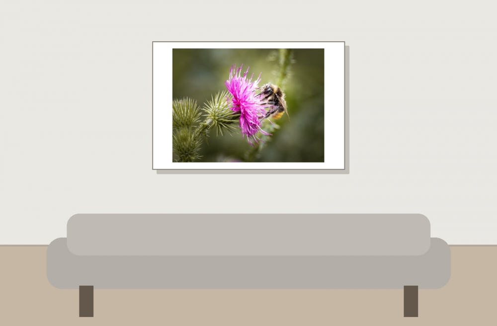 Bombus Lapidarius — 20250722 — 60 × 40 cm