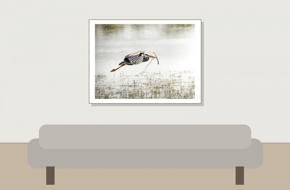 Grey Heron in Rosnay — 40 × 30 cm