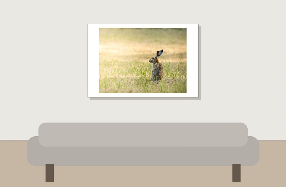 Lepus Europaeus — Rosnay — 60 × 40 cm