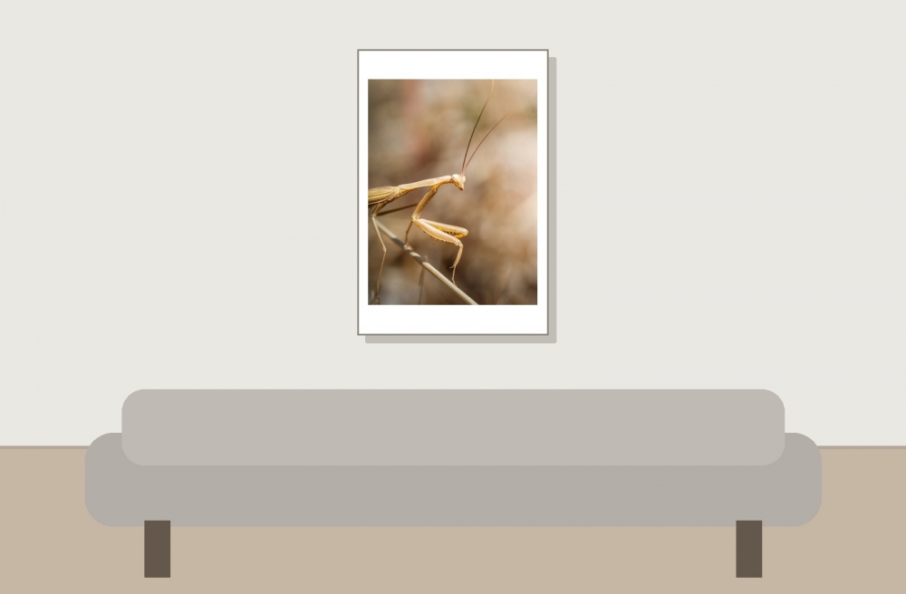 European Praying Mantis in Cheny — 40 × 60 cm