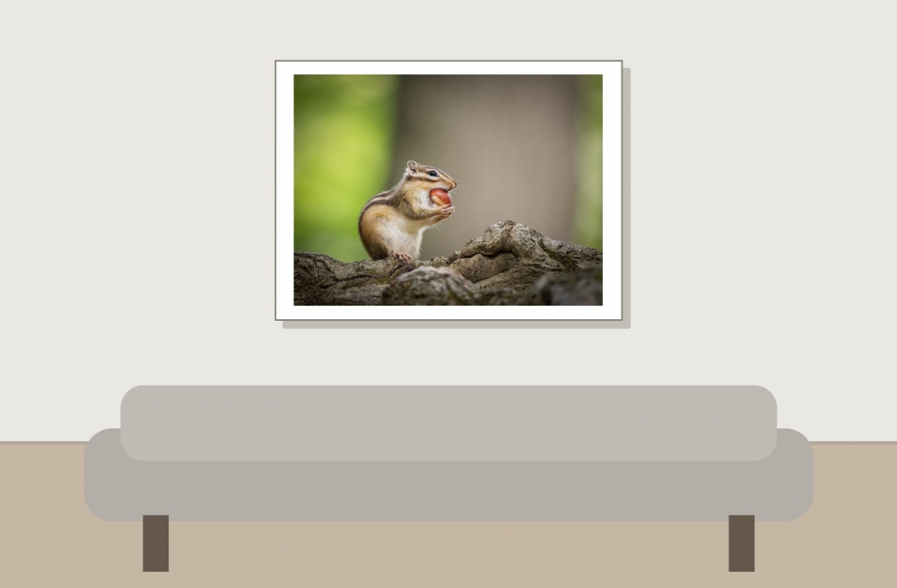 Eutamias Sibiricus — Buc — 40 × 30 cm