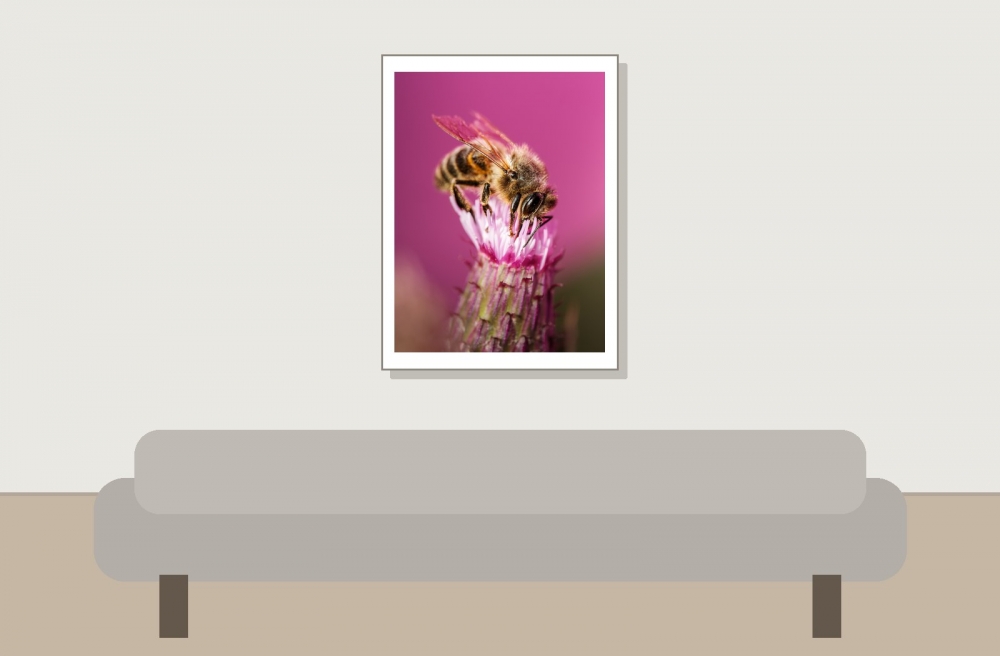 Apis Mellifera — Tignes — 30 × 40 cm