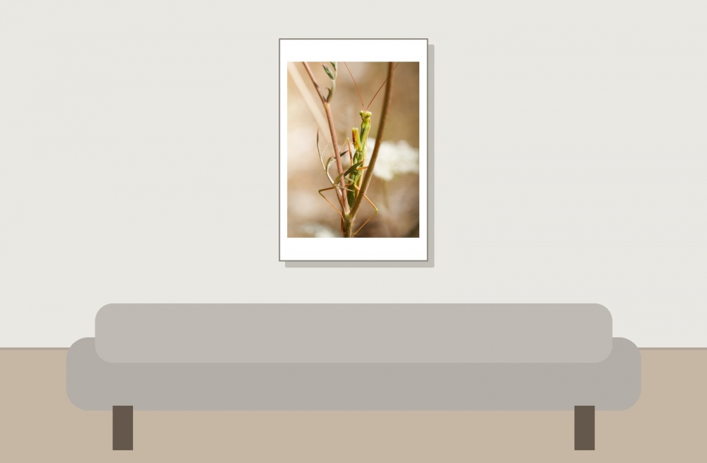 European Praying Mantis in Cheny — 40 × 60 cm