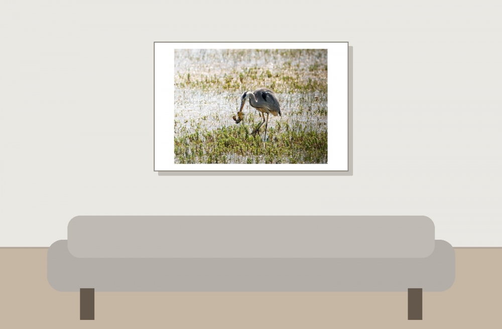 Grey Heron in Rosnay — 60 × 40 cm