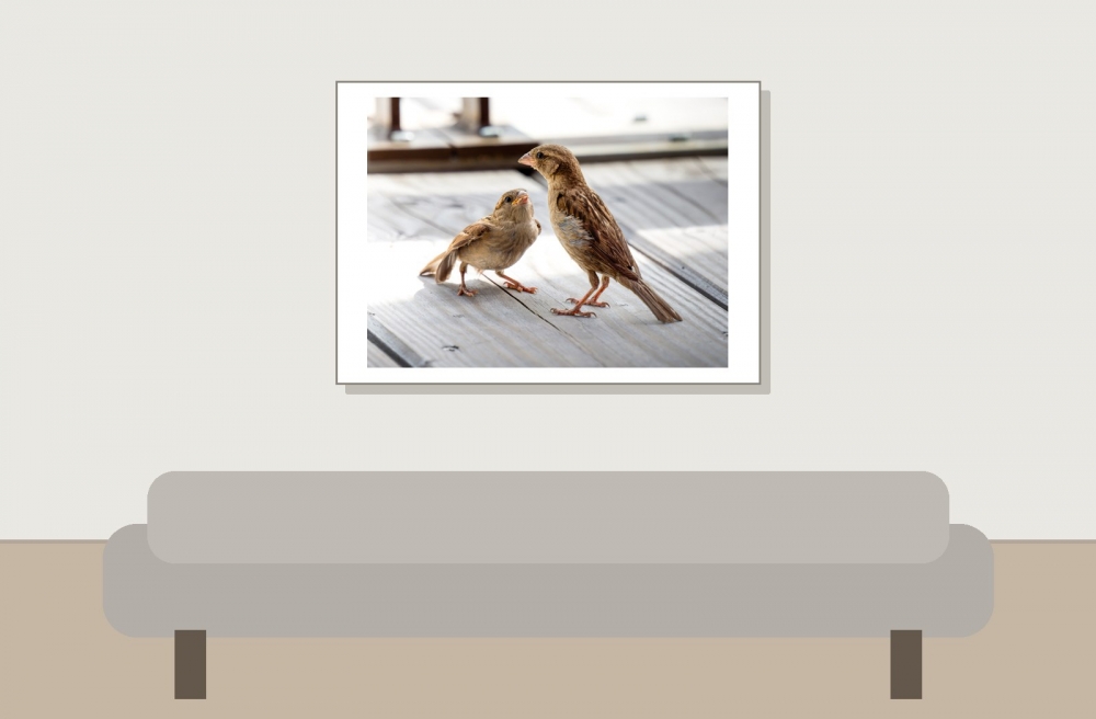 House Sparrow in Tignes — 70 × 50 cm