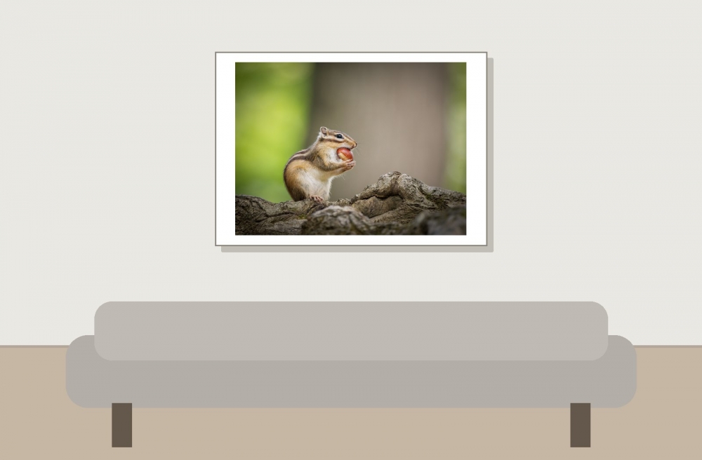 Eutamias Sibiricus — Buc — 70 × 50 cm