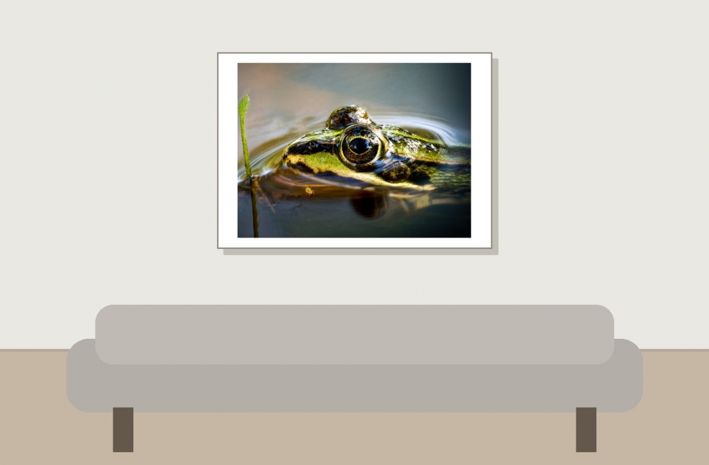 Water Frog in Mézières-en-Brenne — 70 × 50 cm