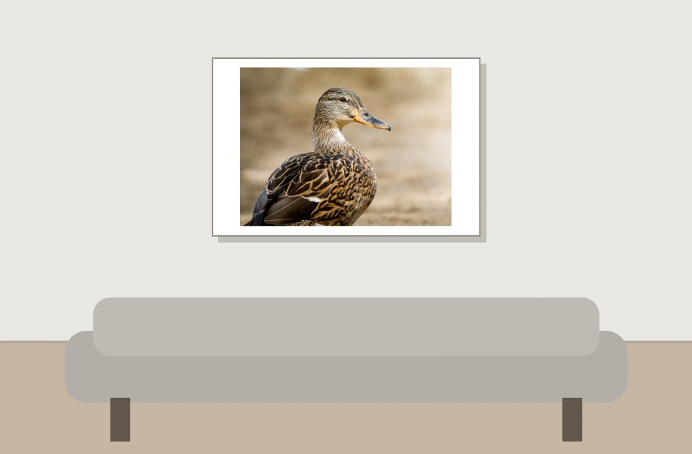 Landscape of Clairvaux-les-Lacs — 60 × 40 cm