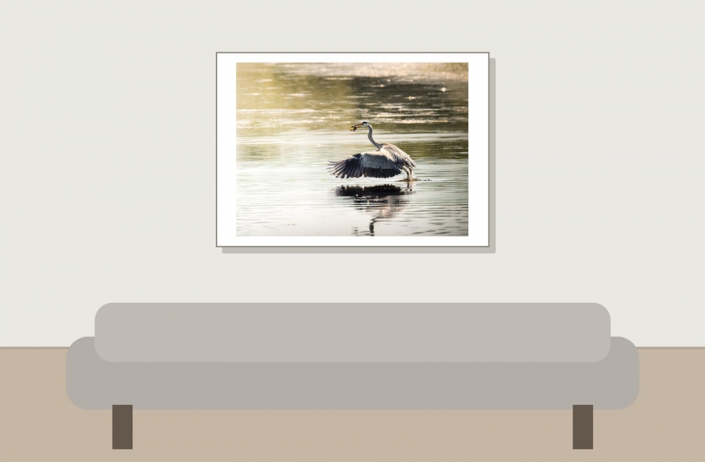 Grey Heron in Rosnay — 70 × 50 cm