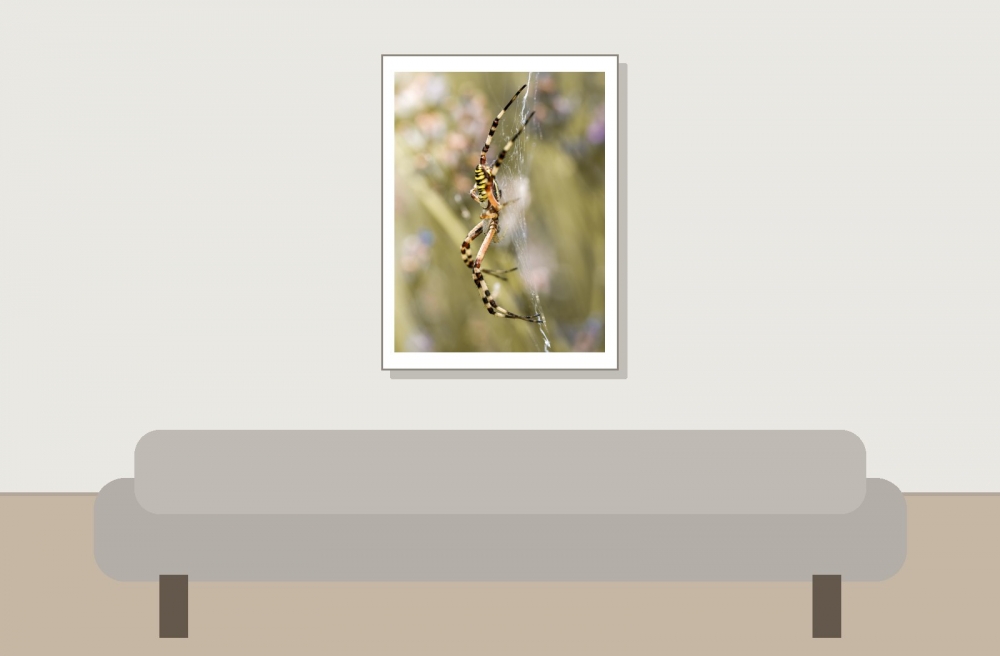 Wasp Spider in Venoy — 30 × 40 cm