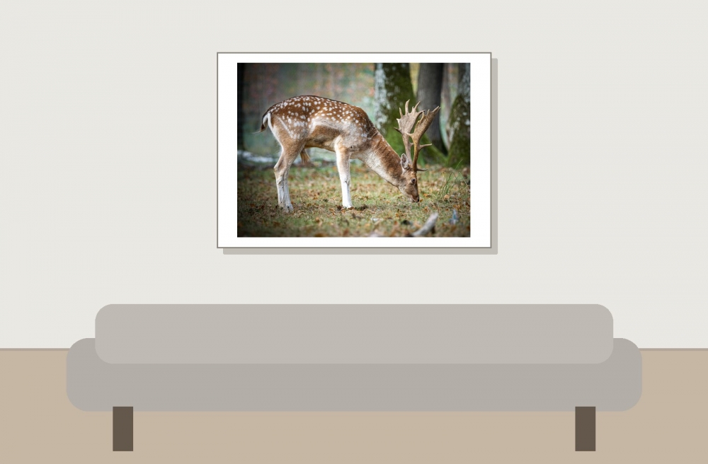 Dama Dama — 20251014 — 70 × 50 cm