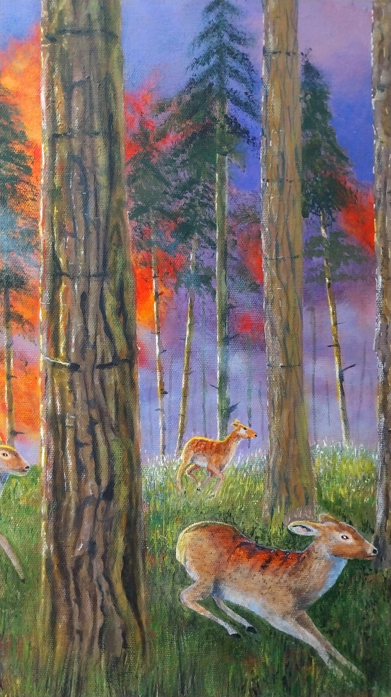 Forest fire.......run!