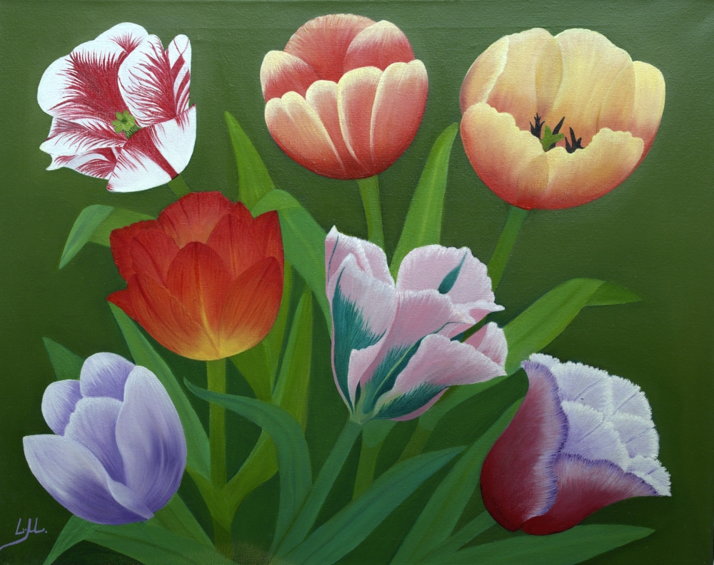 Tulips