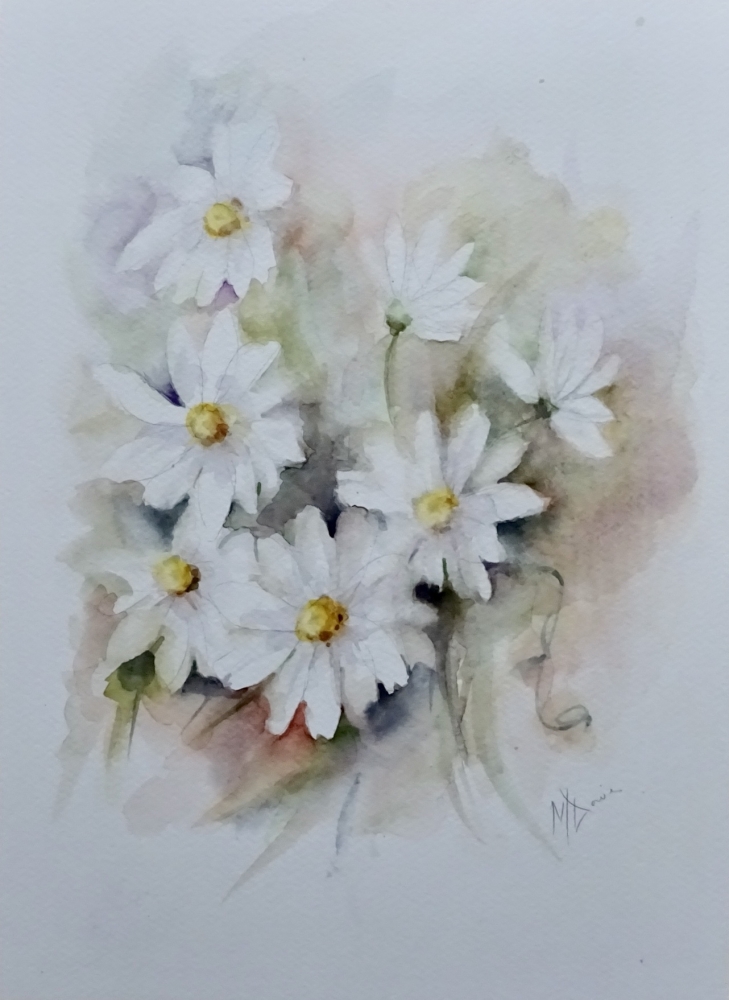 A Daisy is never alone