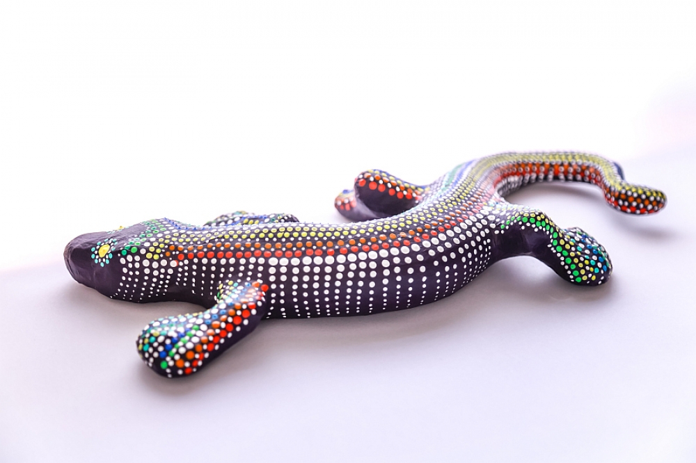 Lizard 