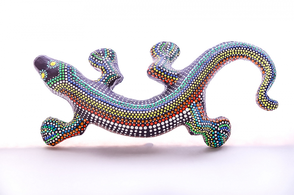 Lizard 