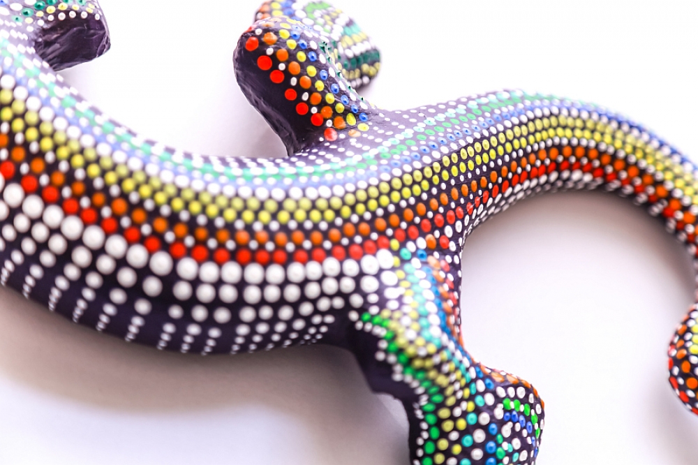 Lizard 