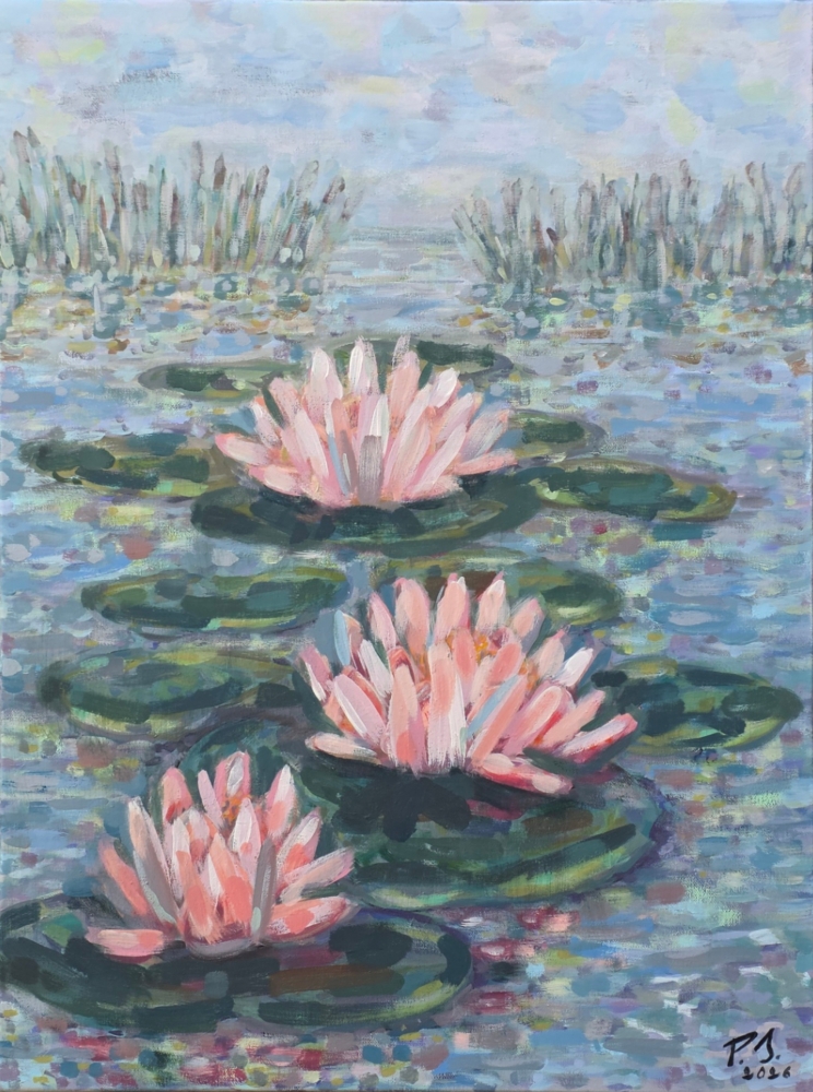 Lily Pond