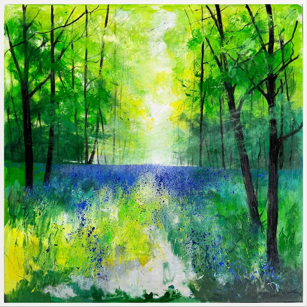 Misty Spring Woodland with Bluebells