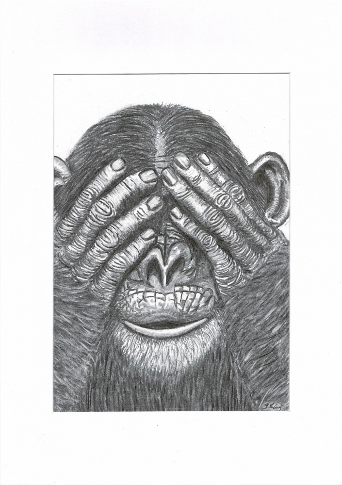 3 wise monkeys