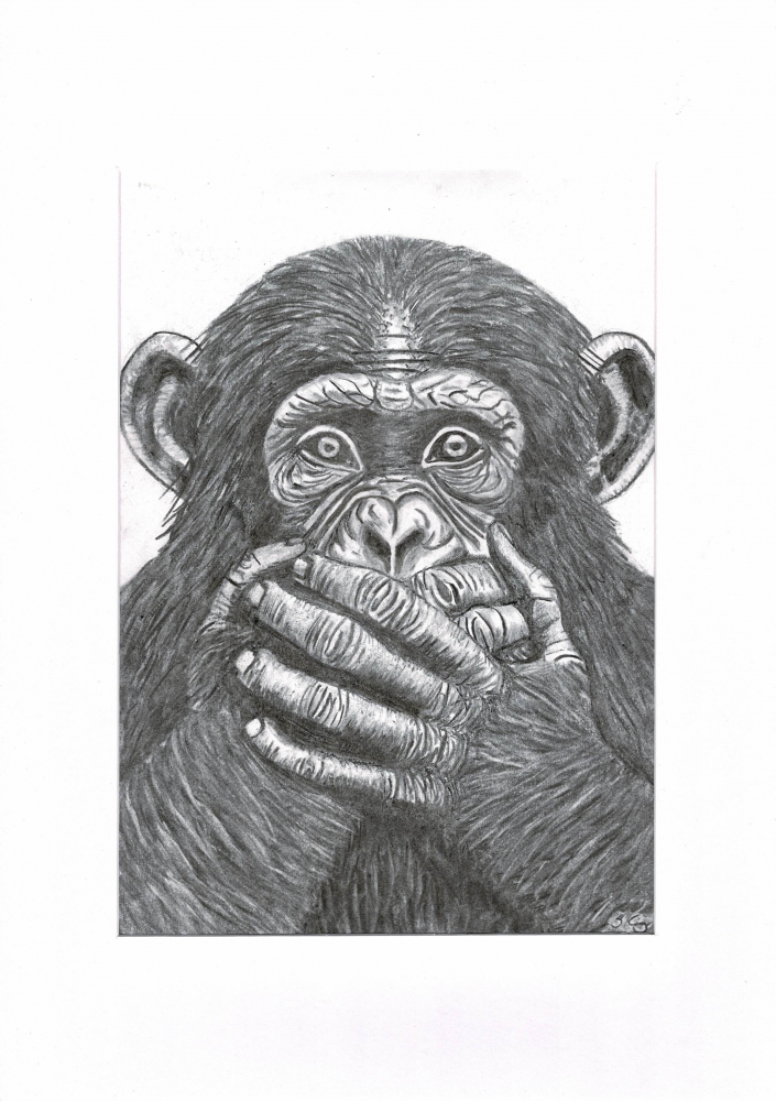3 wise monkeys