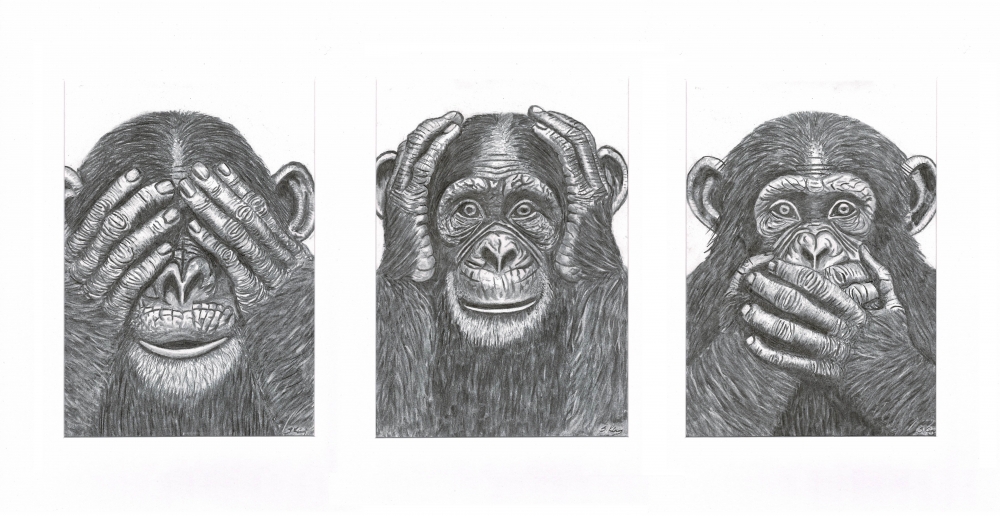 3 wise monkeys