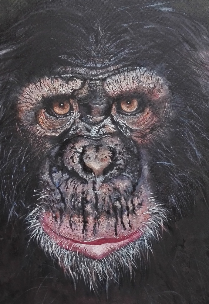Chimp