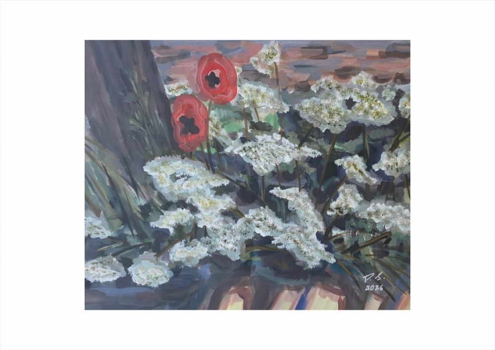 Common yarrow and two poppies