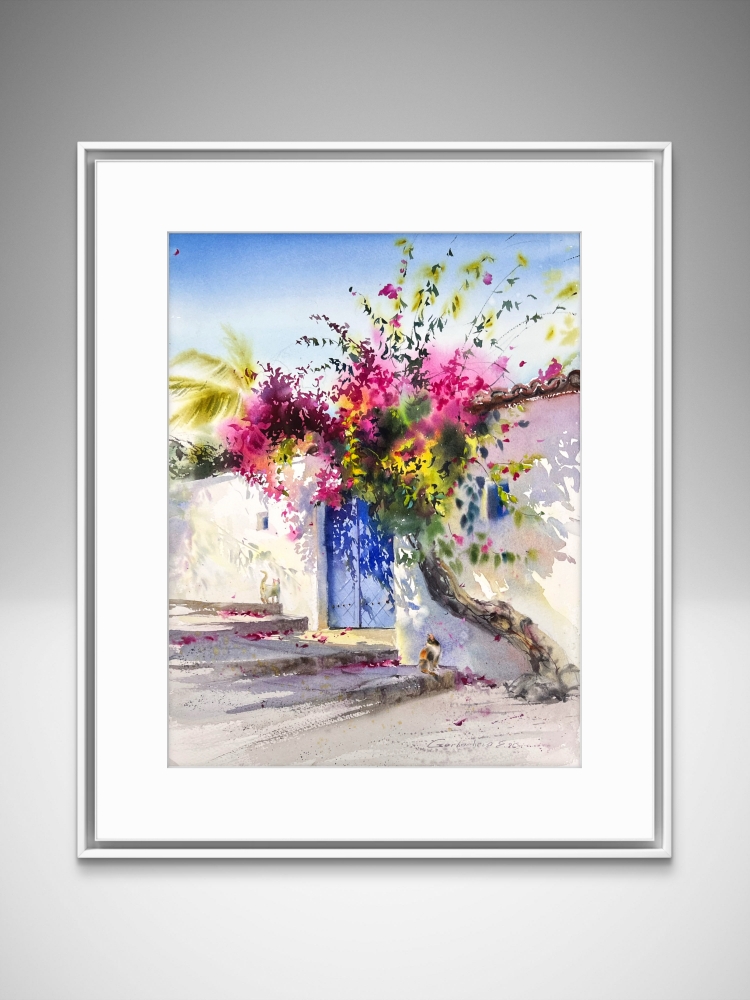 Where Bougainvillea Blooms