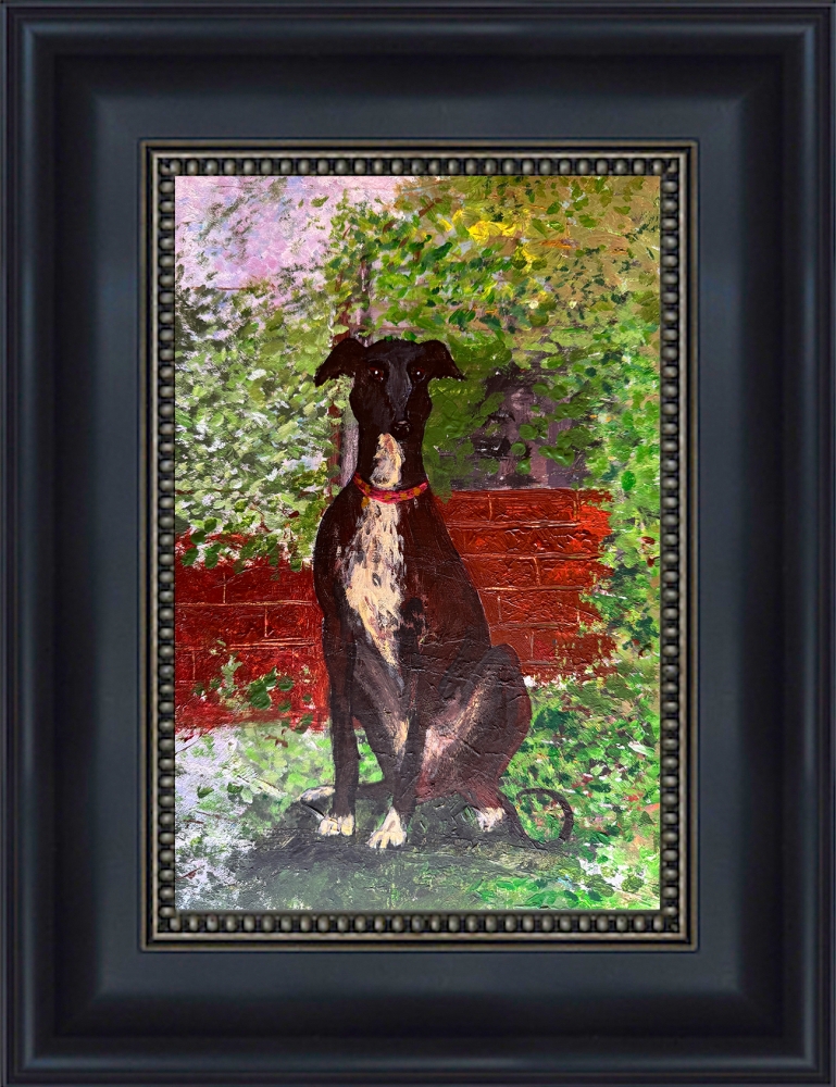 Greyhound in the garden