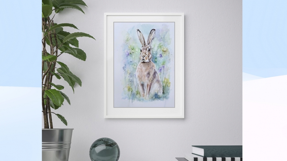 Meadow Hare 