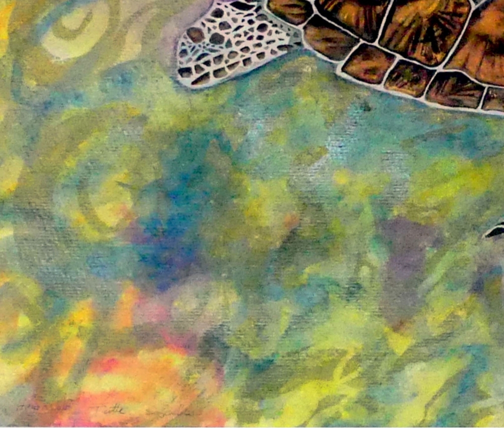 ' Liquid Light ' Hawksbill Turtle of Aldabra