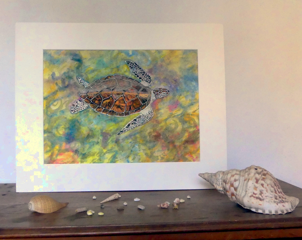 ' Liquid Light ' Hawksbill Turtle of Aldabra