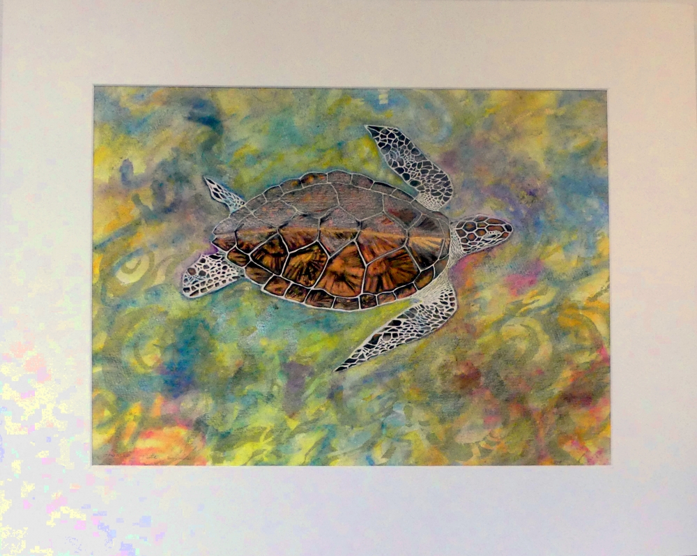 ' Liquid Light ' Hawksbill Turtle of Aldabra