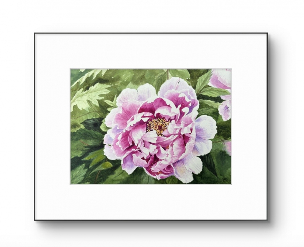 PERFECT PEONY 
