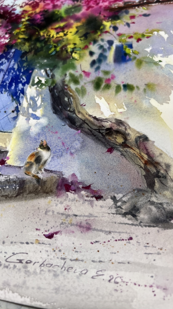 Where Bougainvillea Blooms
