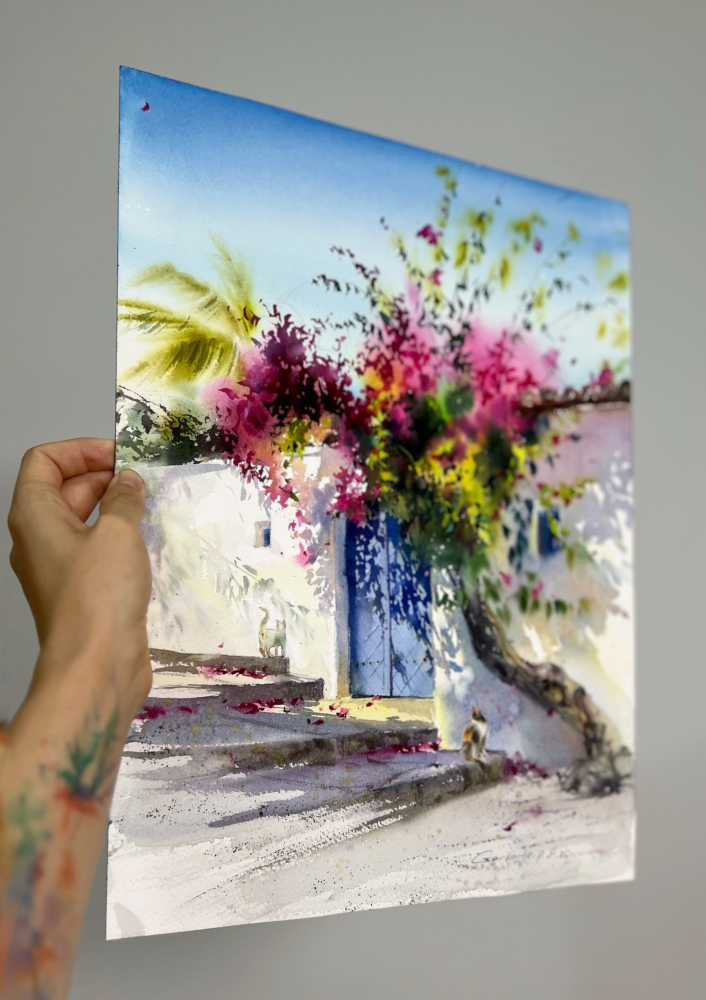 Where Bougainvillea Blooms